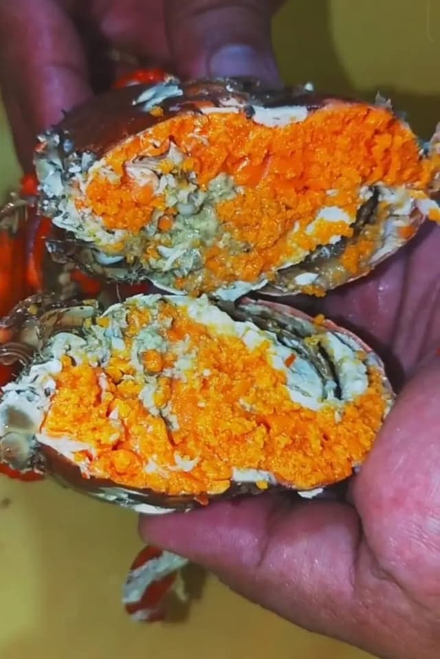 Fresh Seafood